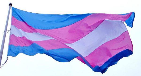 Bandera Transgenero - Imagen 2