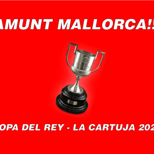 Bandera Amunt Mallorca