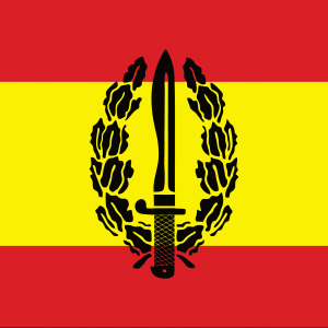 Bandera COE Cuerpo de Operaciones Especiales