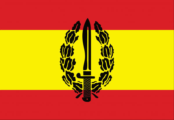 Bandera COE Cuerpo de Operaciones Especiales