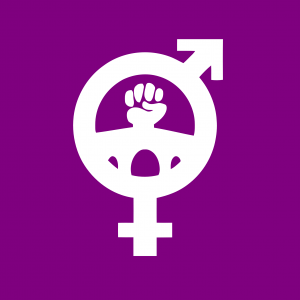 Bandera Movimiento Feminista