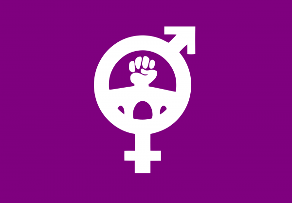Bandera Movimiento Feminista