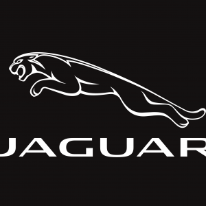 Bandera de Jaguar