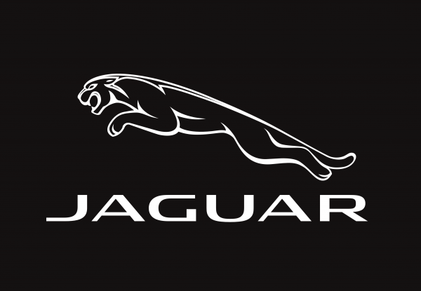 Bandera de Jaguar