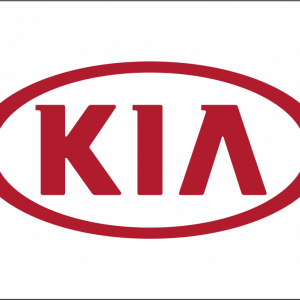 Bandera de KIA
