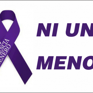 Bandera Ni Una Menos