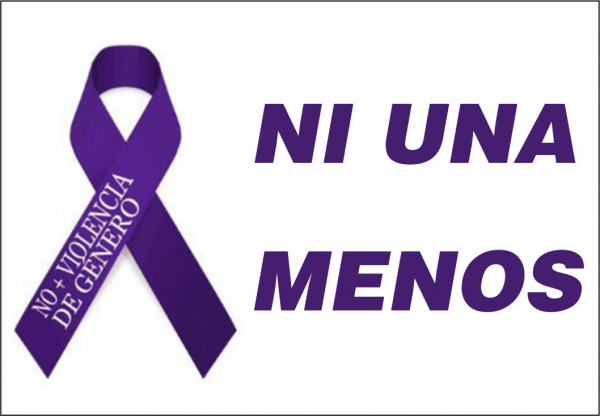 Bandera Ni Una Menos