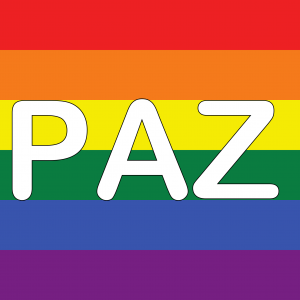 Bandera de Paz Gay