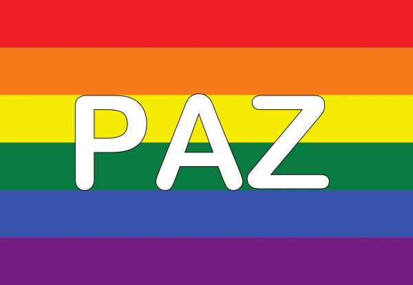 Bandera de Paz Gay
