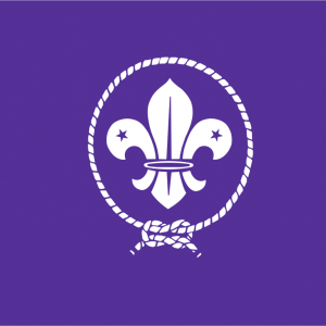 Bandera Scout
