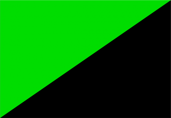 Bandera Anarcoprimitivista