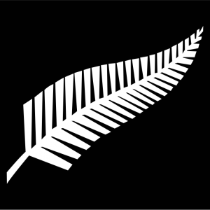 Bandera All Blacks