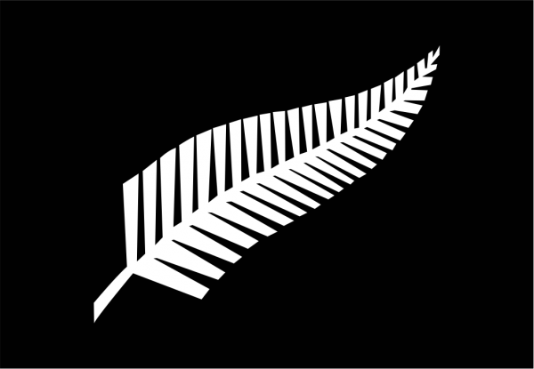 Bandera All Blacks