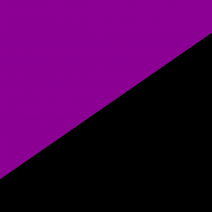 Bandera Anarquismo Feminista o Anarcofeminista