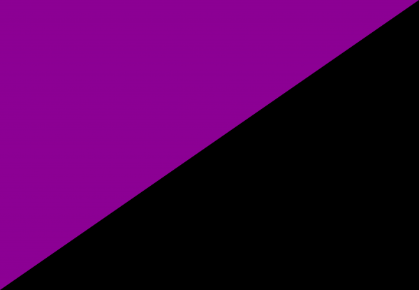 Bandera Anarquismo Feminista o Anarcofeminista