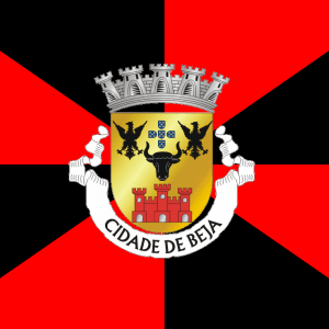 Bandera Beja