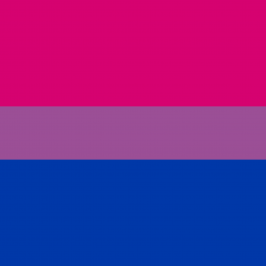 Bandera Bisexual