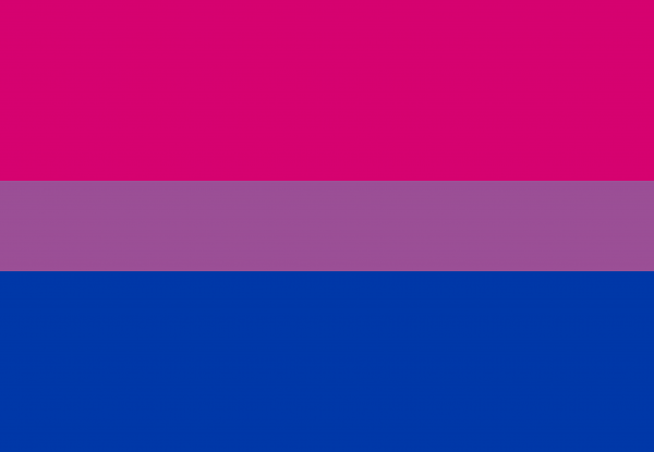 Bandera Bisexual