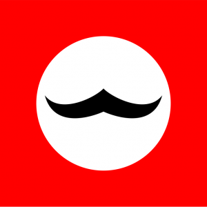 Bandera de Borduria