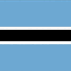 Bandera de Botsuana