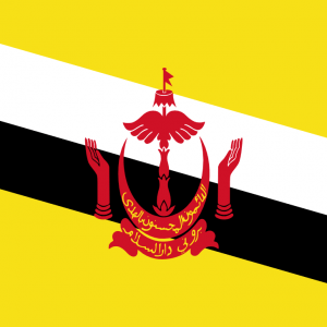 Bandera de Brunei