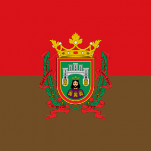 Bandera de Burgos
