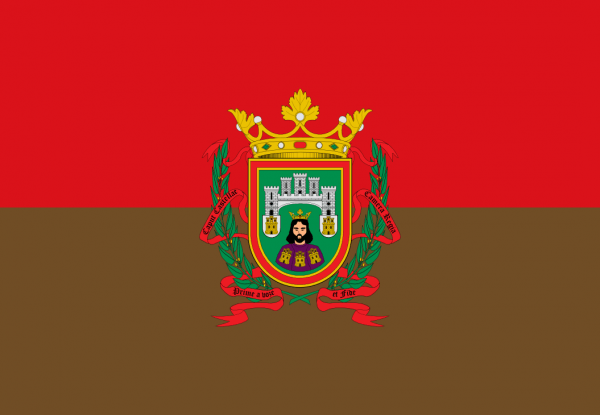 Bandera de Burgos