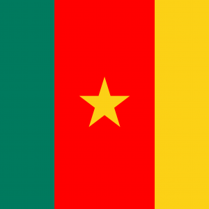Bandera de Camerun