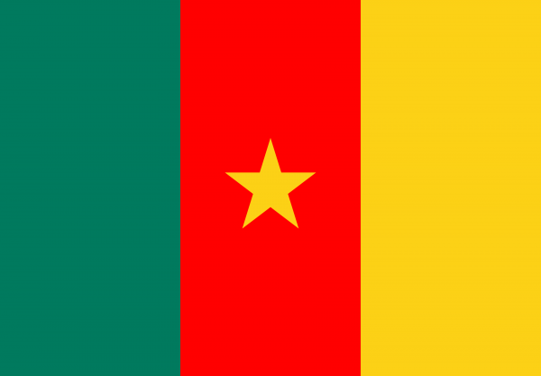 Bandera de Camerun