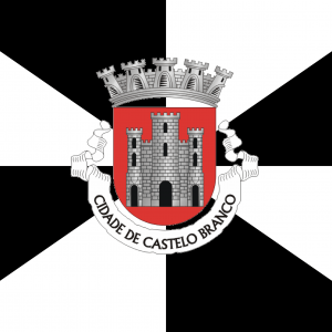 Bandera Castelo Branco