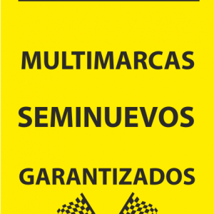 Bandera Vertical Concesionario