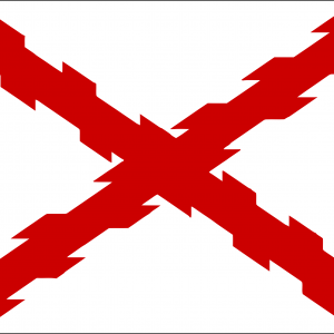 Bandera Cruz De Borgoña
