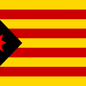 Bandera Estelada Anarquista Catalana