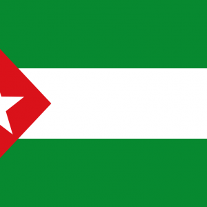 Bandera Juventudes Andalucistas