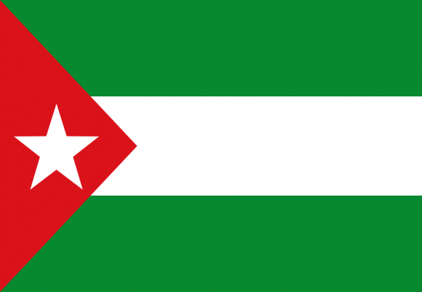 Bandera Juventudes Andalucistas