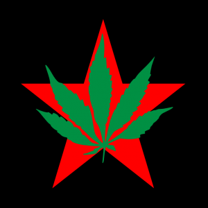 Bandera del Partido Internacional de la Juventud
