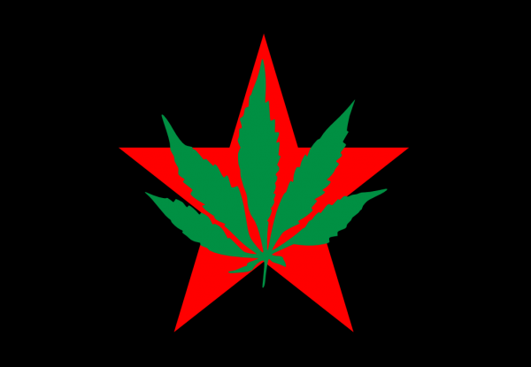 Bandera del Partido Internacional de la Juventud