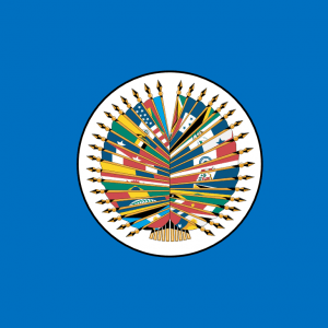 Bandera OEA Organización de Estados Americanos