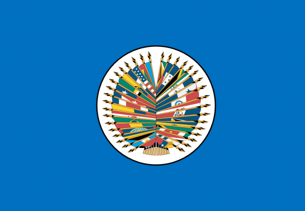 Bandera OEA Organización de Estados Americanos