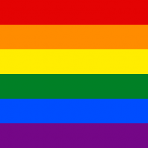 Bandera Orgullo Gay