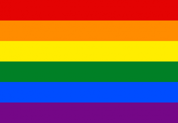 Bandera Orgullo Gay