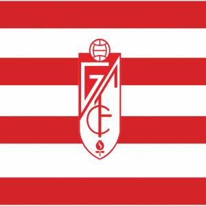 Bandera Granada C.F.
