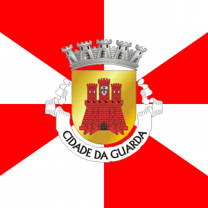 Bandera Guarda