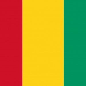 Bandera de Guinea