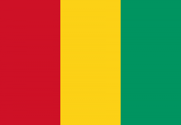 Bandera de Guinea