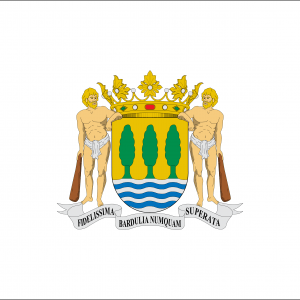 Bandera Provincia de Guipuzcoa