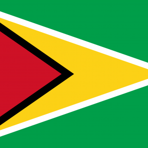 Bandera de Guyana