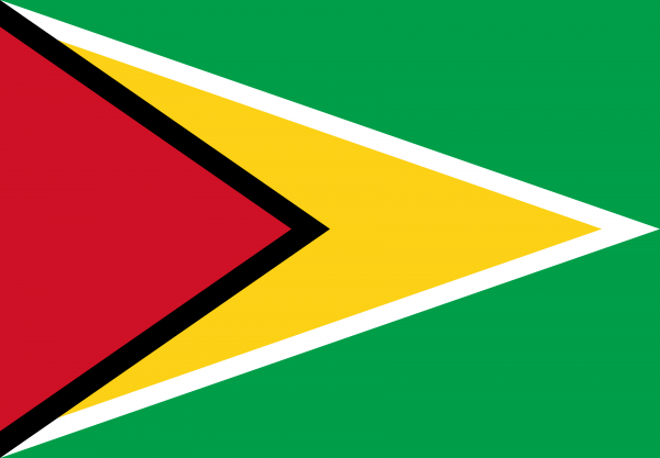 Bandera de Guyana