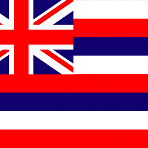 Bandera de Hawái o Hawaii