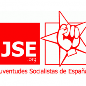 Bandera Las Juventudes Socialistas